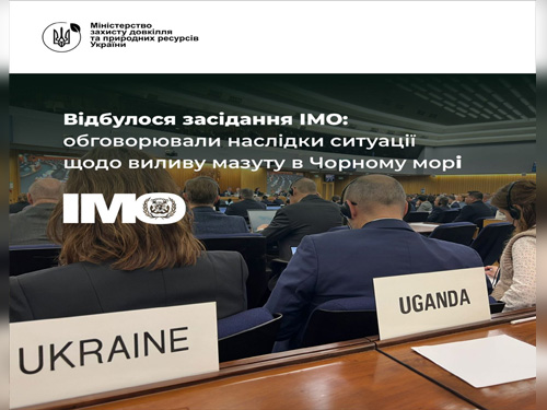 У ході засідання підкомітету Міжнародної морської організації відбулось обговорення наслідків виливу мазуту поблизу Керченської протоки у Чорному морі